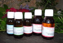 grupo aceites