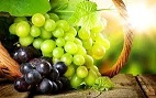 aceite semillas uva