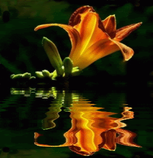 flor