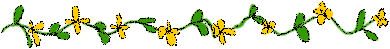flwrdiv